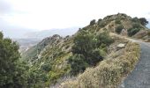 Trail Walking Banyuls-sur-Mer - Banyuls-sur-Mer - Tour de Madaloc - 13.5km 675m 4h15 (45m) - 2018 09 09 - Photo 5