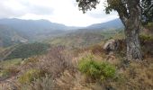 Trail Walking Banyuls-sur-Mer - Banyuls-sur-Mer - Tour de Madaloc - 13.5km 675m 4h15 (45m) - 2018 09 09 - Photo 3