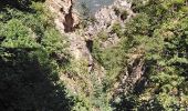 Randonnée Marche Thuès-Entre-Valls - Thuès-Entre-Valls - Gorges de la Carança - 12km 770m 4h30mn (30mn) - 2018 09 11 - Photo 19