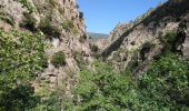 Tocht Stappen Thuès-Entre-Valls - Thuès-Entre-Valls - Gorges de la Cartança - 13.1km D 4h30mn (30mn) - 2018 09 11 - Photo 15