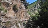 Randonnée Marche Thuès-Entre-Valls - Thuès-Entre-Valls - Gorges de la Carança - 12km 770m 4h30mn (30mn) - 2018 09 11 - Photo 14