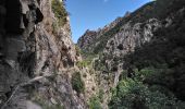 Trail Walking Thuès-Entre-Valls - Thuès-Entre-Valls - Gorges de la Cartança - 13.1km D 4h30mn (30mn) - 2018 09 11 - Photo 13