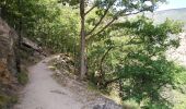 Trail Walking Thuès-Entre-Valls - Thuès-Entre-Valls - Gorges de la Cartança - 13.1km D 4h30mn (30mn) - 2018 09 11 - Photo 8