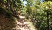 Excursión Senderismo Thuès-Entre-Valls - Thuès-Entre-Valls - Gorges de la Cartança - 13.1km D 4h30mn (30mn) - 2018 09 11 - Photo 7