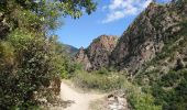 Trail Walking Thuès-Entre-Valls - Thuès-Entre-Valls - Gorges de la Cartança - 13.1km D 4h30mn (30mn) - 2018 09 11 - Photo 6