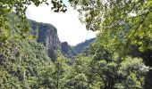 Randonnée Marche Thuès-Entre-Valls - Thuès-Entre-Valls - Gorges de la Carança - 12km 770m 4h30mn (30mn) - 2018 09 11 - Photo 5