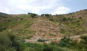 Excursión Senderismo Port-Vendres - Paulilles - Cap Rederis - 17.4km 500m 5h15 (45mn) - 2018 09 12 - Photo 20