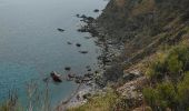 Excursión Senderismo Port-Vendres - Paulilles - Cap Rederis - 17.4km 500m 5h15 (45mn) - 2018 09 12 - Photo 17