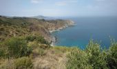 Tocht Stappen Port-Vendres - Paulilles - Cap Rederis - 17.4km 500m 5h15 (45mn) - 2018 09 12 - Photo 15