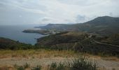 Excursión Senderismo Port-Vendres - Paulilles - Cap Rederis - 17.4km 500m 5h15 (45mn) - 2018 09 12 - Photo 14