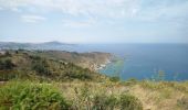 Tocht Stappen Port-Vendres - Paulilles - Cap Rederis - 17.4km 500m 5h15 (45mn) - 2018 09 12 - Photo 13