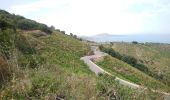 Excursión Senderismo Port-Vendres - Paulilles - Cap Rederis - 17.4km 500m 5h15 (45mn) - 2018 09 12 - Photo 12