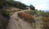 Excursión Senderismo Port-Vendres - Paulilles - Cap Rederis - 17.4km 500m 5h15 (45mn) - 2018 09 12 - Photo 11