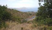 Excursión Senderismo Port-Vendres - Paulilles - Cap Rederis - 17.4km 500m 5h15 (45mn) - 2018 09 12 - Photo 10