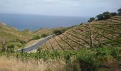 Tocht Stappen Port-Vendres - Paulilles - Cap Rederis - 17.4km 500m 5h15 (45mn) - 2018 09 12 - Photo 9