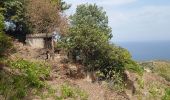 Tour Wandern Port-Vendres - Paulilles - Cap Rederis - 17.4km 500m 5h15 (45mn) - 2018 09 12 - Photo 8