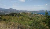 Tocht Stappen Port-Vendres - Paulilles - Cap Rederis - 17.4km 500m 5h15 (45mn) - 2018 09 12 - Photo 6