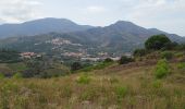 Tocht Stappen Port-Vendres - Paulilles - Cap Rederis - 17.4km 500m 5h15 (45mn) - 2018 09 12 - Photo 5