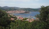 Tour Wandern Port-Vendres - Paulilles - Cap Rederis - 17.4km 500m 5h15 (45mn) - 2018 09 12 - Photo 4