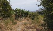 Excursión Senderismo Port-Vendres - Paulilles - Cap Rederis - 17.4km 500m 5h15 (45mn) - 2018 09 12 - Photo 2