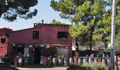 Excursión Senderismo Argelès-sur-Mer - Argelès village Plage Port Le Racou - 20.1km 110m 5h25 (30mn) - 2018 09 13 - Photo 20