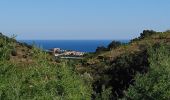Tour Wandern Collioure - Collioure - N-D Consolation-Fort St Elme - 13.2km 450m 3h25 (40mn) - 2018 09 14 - Photo 17