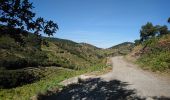 Trail Walking Collioure - Collioure - N-D Consolation-Fort St Elme - 13.2km 450m 3h25 (40mn) - 2018 09 14 - Photo 15