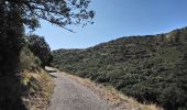 Tour Wandern Collioure - Collioure - N-D Consolation-Fort St Elme - 13.2km 450m 3h25 (40mn) - 2018 09 14 - Photo 14