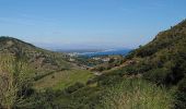 Excursión Senderismo Collioure - Collioure - N-D Consolation-Fort St Elme - 13.2km 450m 3h25 (40mn) - 2018 09 14 - Photo 13