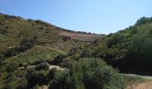 Trail Walking Collioure - Collioure - N-D Consolation-Fort St Elme - 13.2km 450m 3h25 (40mn) - 2018 09 14 - Photo 12
