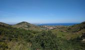 Excursión Senderismo Collioure - Collioure - N-D Consolation-Fort St Elme - 13.2km 450m 3h25 (40mn) - 2018 09 14 - Photo 11
