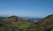 Randonnée Marche Collioure - Collioure - boucle N-D Consolation Fort St Elme - 13.2km 380m 3h25 (40mn) - 2018 09 14 - Photo 10