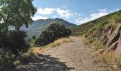 Trail Walking Collioure - Collioure - N-D Consolation-Fort St Elme - 13.2km 450m 3h25 (40mn) - 2018 09 14 - Photo 1