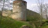 Tocht Stappen Nègrepelisse - Circuit des terres de l'Aveyron - Nègrepelisse - Photo 3