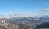Percorso Racchette da neve Ventron - Vosges en Raquettes : Le Drumont - Photo 2
