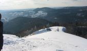 Percorso Racchette da neve Ventron - Vosges en Raquettes : Le Drumont - Photo 1