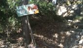Trail Walking Vence - Vence Baou des noirs et des blancs  - Photo 2