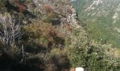 Trail Walking Vence - Vence Baou des noirs et des blancs  - Photo 18