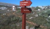 Trail Walking Vence - Vence Baou des noirs et des blancs  - Photo 16