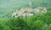 Tocht Mountainbike Corsavy - Espace VTT FFC Haut Vallespir - circuit n° 12 - La Ronde des Isards - Photo 2