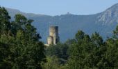 Tocht Mountainbike Corsavy - Espace VTT FFC Haut Vallespir - circuit n° 12 - La Ronde des Isards - Photo 1