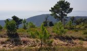 Tocht Stappen Rayol-Canadel-sur-Mer - Rayole  - Photo 5