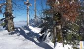 Trail Snowshoes Saint-Laurent-du-Pont - Crête des Charmilles (tentative) - Photo 1