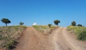 Excursión Senderismo Saint-Raphaël - Peïre Sarade aux 6 citernes - Photo 3