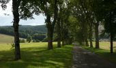 Tour Mountainbike Villiers-le-Duc - Espace VTT FFC Pays Châtillonais - n°6 - Circuit du Val des Choues - Photo 3