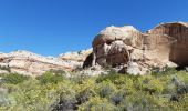 Percorso Marcia Calf Creek Recreation Area - lower calf creek falls - Photo 3