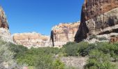 Tour Wandern Calf Creek Recreation Area - lower calf creek falls - Photo 2