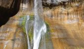 Tocht Stappen Calf Creek Recreation Area - lower calf creek falls - Photo 1