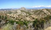 Trail Walking Belgodère - Agriates + Cap Corse en 7 jours de randonnée - Photo 4