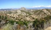 Tour Wandern Belgodère - Agriates + Cap Corse en 7 jours de randonnée - Photo 4